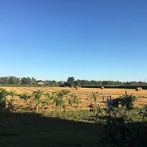  Bed & Breakfast De Carol Italië